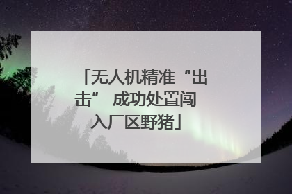 无人机精准“出击” 成功处置闯入厂区野猪