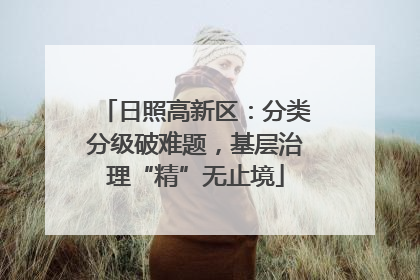 日照高新区：分类分级破难题，基层治理“精”无止境