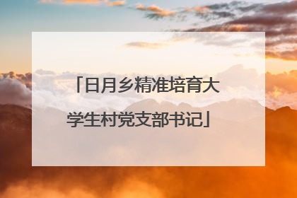 日月乡精准培育大学生村党支部书记