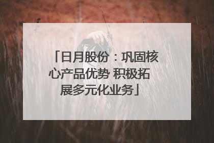 日月股份：巩固核心产品优势 积极拓展多元化业务