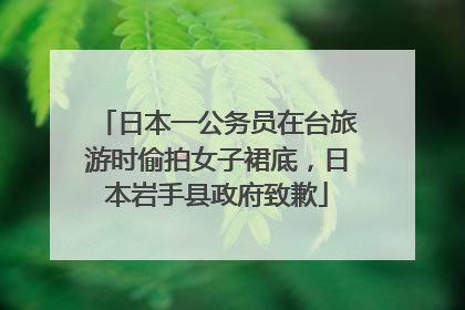 日本一公务员在台旅游时偷拍女子裙底，日本岩手县政府致歉