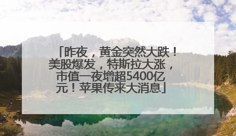 昨夜，黄金突然大跌！美股爆发，特斯拉大涨，市值一夜增超5400亿元！苹果传来大消息