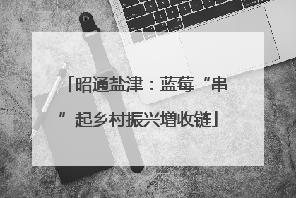 昭通盐津：蓝莓“串”起乡村振兴增收链