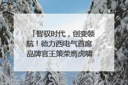 智驭时代，创变领航！德力西电气首席品牌官王策荣膺虎啸奖年度品牌人物