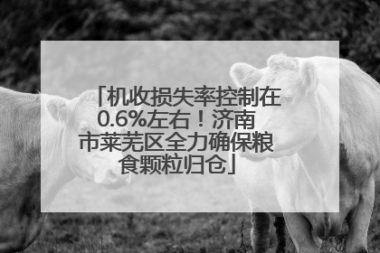 机收损失率控制在0.6%左右！济南市莱芜区全力确保粮食颗粒归仓