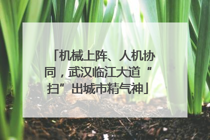 机械上阵、人机协同，武汉临江大道“扫”出城市精气神