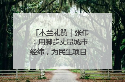 木兰礼赞｜张伟：用脚步丈量城市经纬，为民生项目按下“加速键”