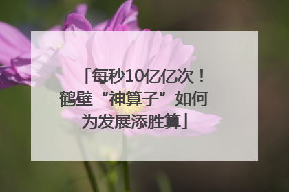 每秒10亿亿次！鹤壁“神算子”如何为发展添胜算