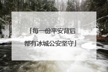 每一份平安背后 都有冰城公安坚守