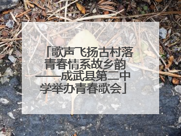 歌声飞扬古村落 青春情系故乡韵——成武县第二中学举办青春歌会