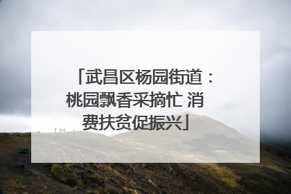 武昌区杨园街道：桃园飘香采摘忙 消费扶贫促振兴