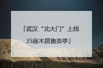 武汉“北大门”上线35座木质售卖亭