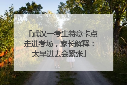武汉一考生特意卡点走进考场，家长解释：太早进去会紧张