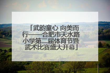 武韵童心 向美而行——合肥市天水路小学第二届体育节暨武术比赛盛大开幕