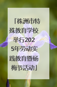 株洲市特殊教育学校举行2025年劳动实践教育暨杨梅节活动