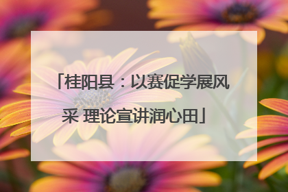 桂阳县：以赛促学展风采 理论宣讲润心田