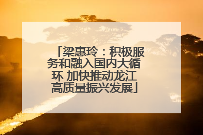 梁惠玲：积极服务和融入国内大循环 加快推动龙江高质量振兴发展