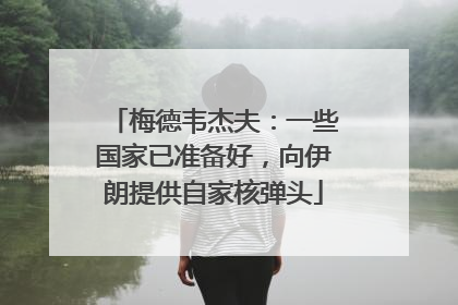梅德韦杰夫：一些国家已准备好，向伊朗提供自家核弹头