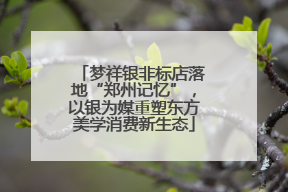 梦祥银非标店落地“郑州记忆”，以银为媒重塑东方美学消费新生态