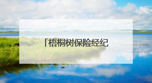 梧桐树保险经纪“桐星守护”关爱活动圆满举行