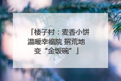 楼子村：麦香小饼温暖幸福院 撂荒地变“金饭碗”