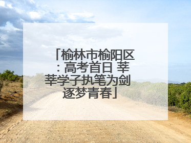 榆林市榆阳区：高考首日 莘莘学子执笔为剑 逐梦青春