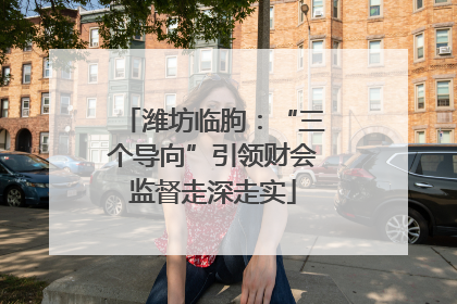 潍坊临朐：“三个导向”引领财会监督走深走实