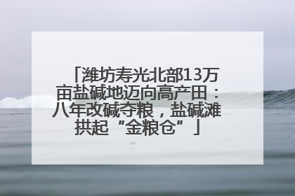 潍坊寿光北部13万亩盐碱地迈向高产田：八年改碱夺粮，盐碱滩拱起“金粮仓”