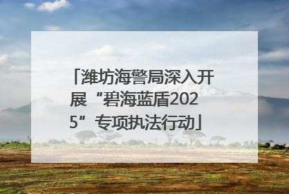 潍坊海警局深入开展“碧海蓝盾2025”专项执法行动
