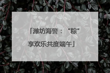 潍坊海警：“粽”享欢乐共度端午