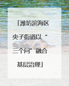 潍坊滨海区央子街道以“三个问”融合基层治理