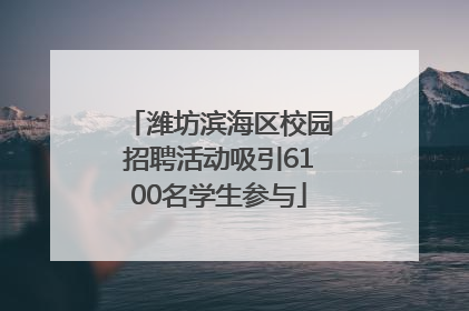 潍坊滨海区校园招聘活动吸引6100名学生参与