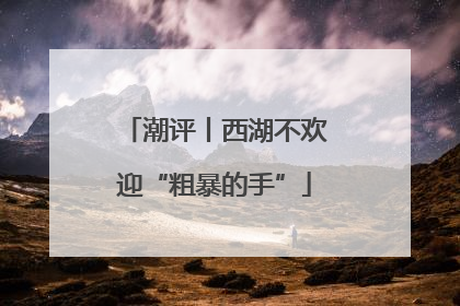 潮评丨西湖不欢迎“粗暴的手”