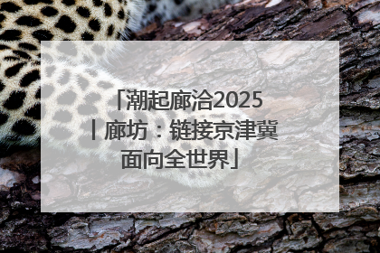潮起廊洽2025丨廊坊：链接京津冀 面向全世界