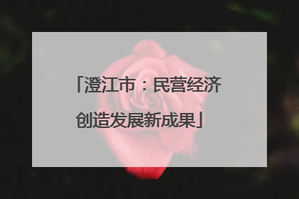 澄江市：民营经济创造发展新成果