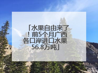 水果自由来了！前5个月广西各口岸进口水果56.8万吨