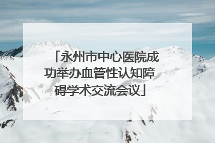 永州市中心医院成功举办血管性认知障碍学术交流会议