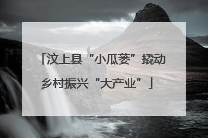 汶上县“小瓜蒌”撬动乡村振兴“大产业”