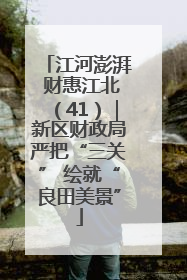 江河澎湃 财惠江北（41）｜新区财政局严把“三关” 绘就“良田美景”