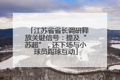 江苏省省长调研释放关键信号：提及“苏超”，还下场与小球员踢球互动