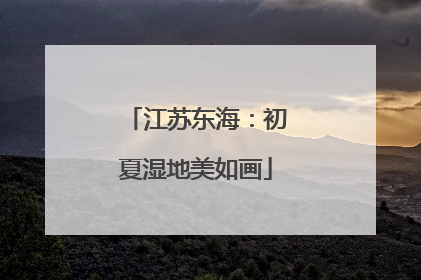 江苏东海：初夏湿地美如画
