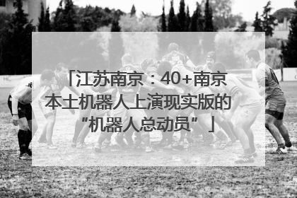 江苏南京：40+南京本土机器人上演现实版的“机器人总动员”