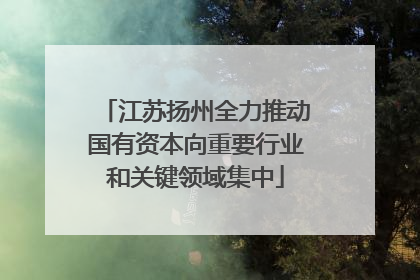 江苏扬州全力推动国有资本向重要行业和关键领域集中