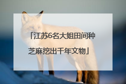 江苏6名大姐田间种芝麻挖出千年文物