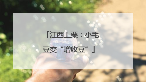 江西上栗：小毛豆变“增收豆”