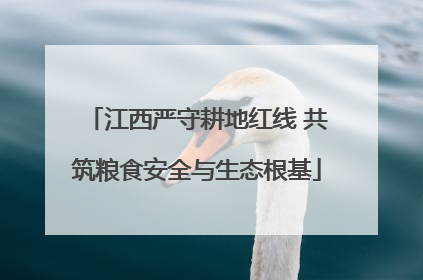 江西严守耕地红线 共筑粮食安全与生态根基