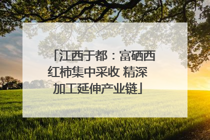 江西于都：富硒西红柿集中采收 精深加工延伸产业链