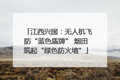 江西兴国：无人机飞防“蓝色盾牌” 烟田筑起“绿色防火墙”