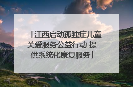 江西启动孤独症儿童关爱服务公益行动 提供系统化康复服务