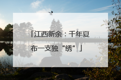 江西新余：千年夏布一支独“绣”